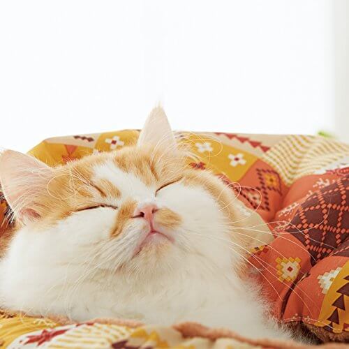 あったか猫ベッド幸せにゃーん
