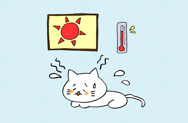 猫も暑いのよ