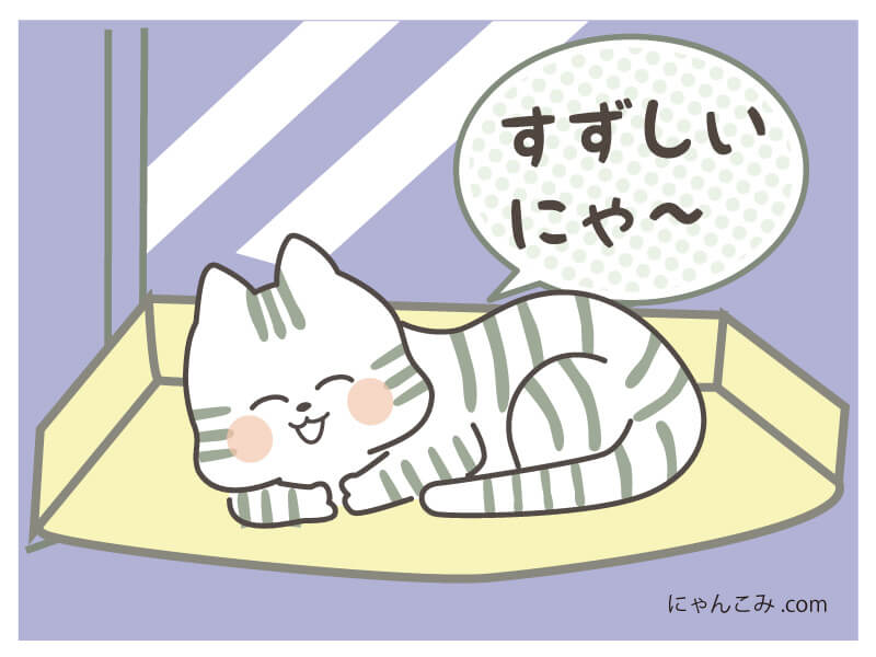 夏用猫ベッドで涼む猫